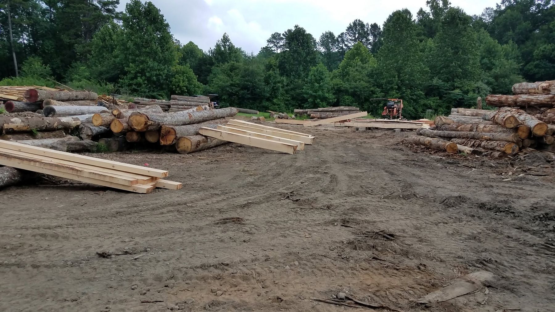 Piles of logs and stacks of fresh-sawn boards in a dirt yard edged by trees